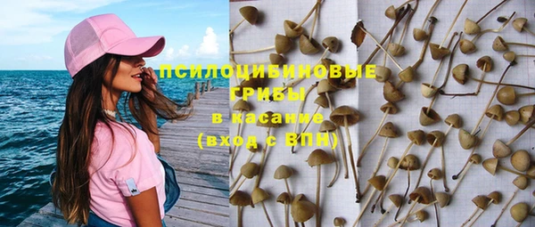 тгк Аркадак