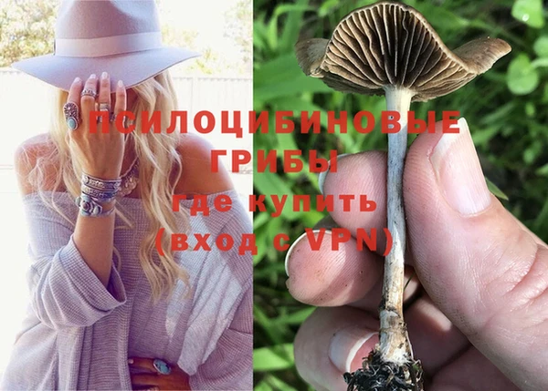 меф Арсеньев